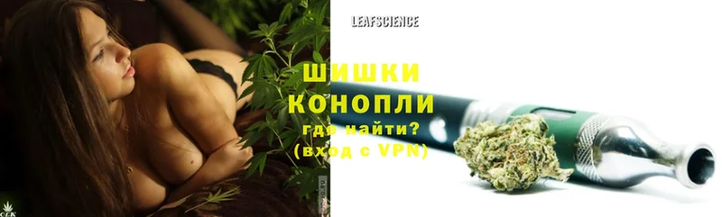 Бошки Шишки White Widow  кракен как войти  Северск 